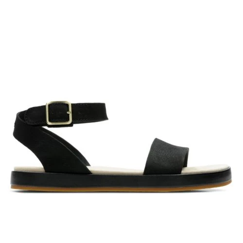 Botanic Ivy 3 Botanic Ivy