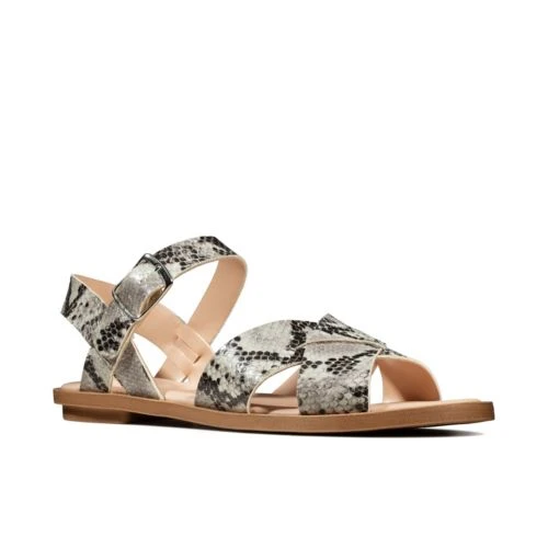 Willow Gild 4 Willow Gild - Image 2