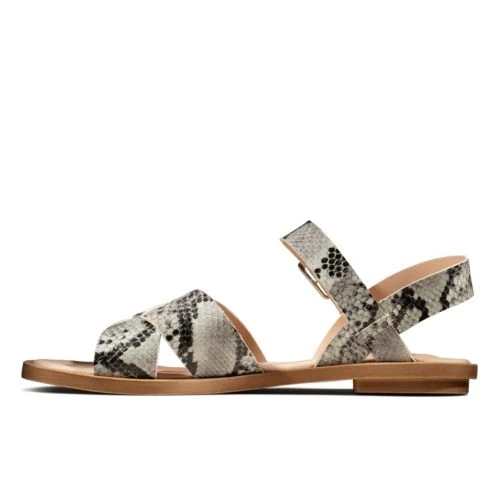 Willow Gild 6 Willow Gild - Image 4