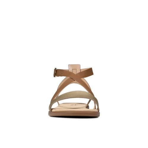 Bay Rosie 5 Bay Rosie - Image 3