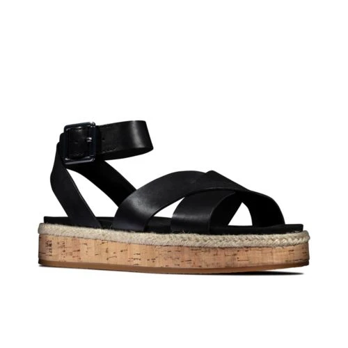 Botanic Poppy 4 Botanic Poppy - Image 2