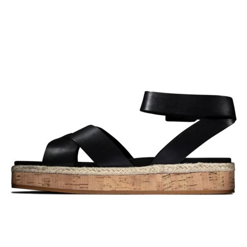 Botanic Poppy 6 Botanic Poppy - Image 4