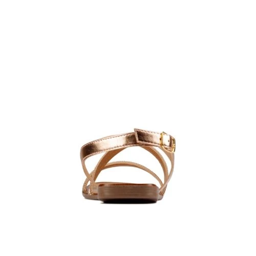 Latreece Ray 7 Latreece Ray - Image 5