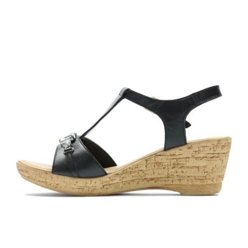 Shireen Ray 6 Shireen Ray - Image 4