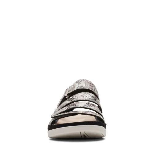 Tri Glad 5 Tri Glad - Image 3