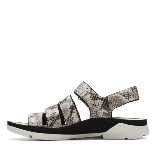 Tri Glad 7 Tri Glad - Image 5