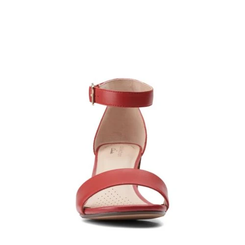 Jocelynne Cam 5 Jocelynne Cam - Image 3