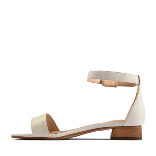 Sheer25 Strap 7 Sheer25 Strap - Image 5