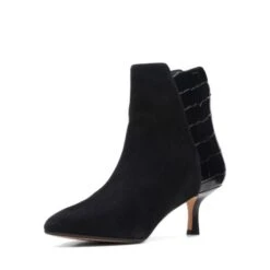 Violet55 Zip 10 Violet55 Zip -Women's Boots Shop 26161570 D