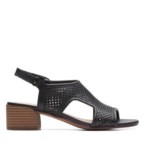 Caroleigh Star 3 Caroleigh Star