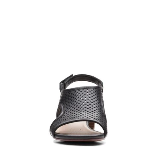 Caroleigh Star 5 Caroleigh Star - Image 3