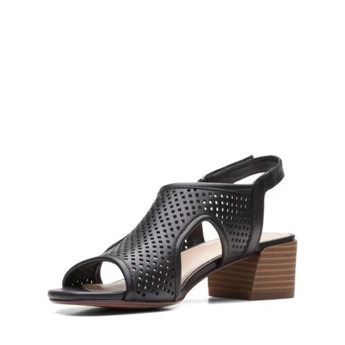 Caroleigh Star 6 Caroleigh Star - Image 4