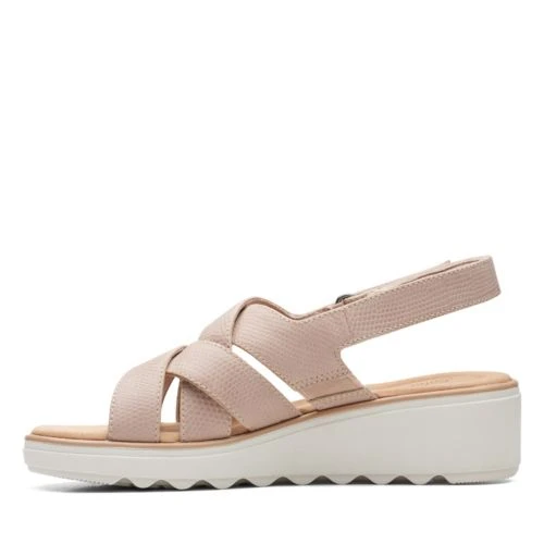 Jillian Spring 7 Jillian Spring - Image 5