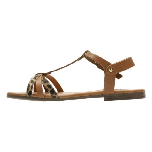 Taffrail Tulip 6 Taffrail Tulip - Image 4